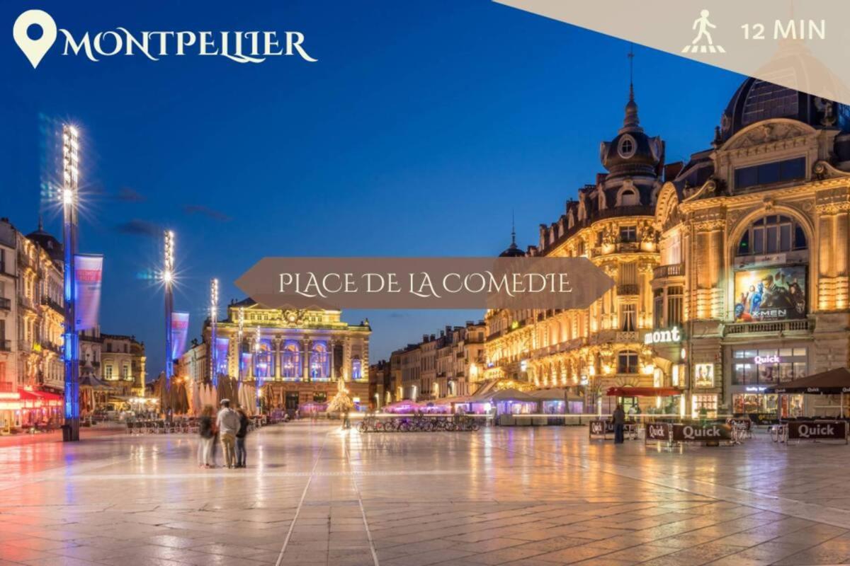 063 - Studio Didion, Centre Gare St Roch, Clim, Balcon,4Pers 蒙彼利埃 外观 照片